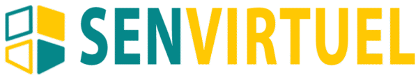 Senvirtuel Market