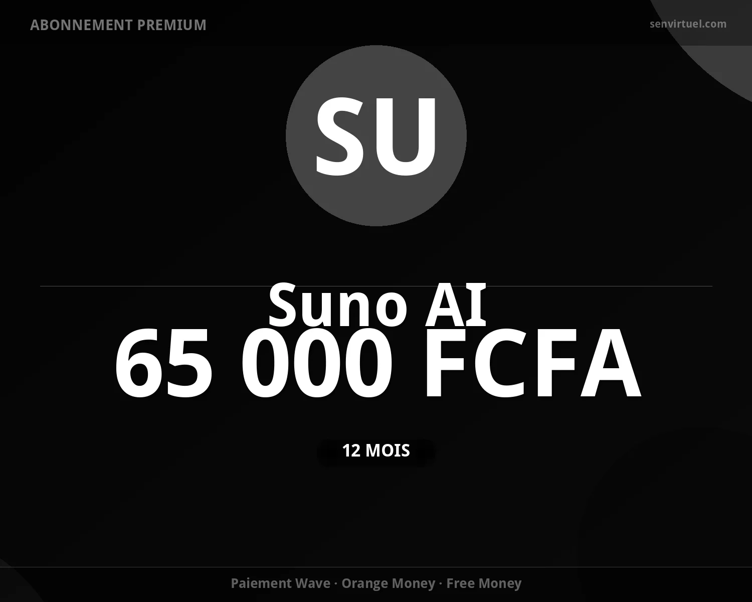 Suno AI 12 Mois