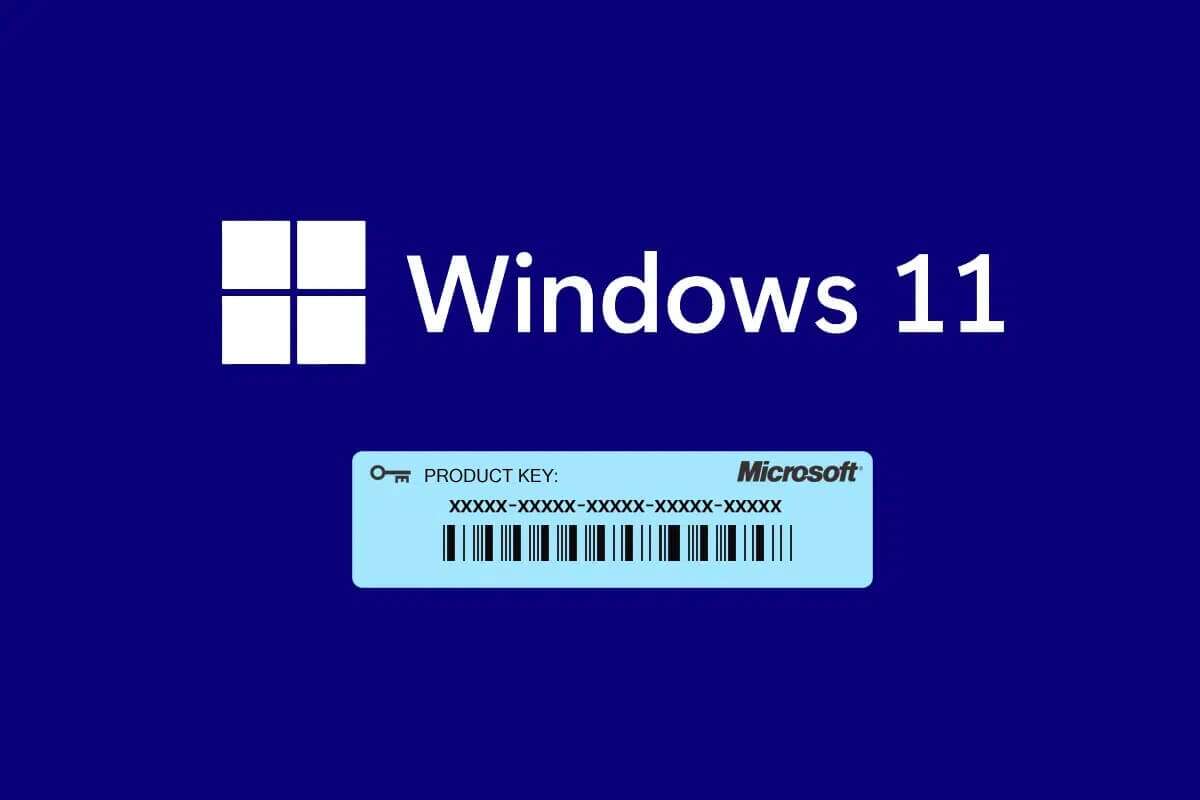 Windows 11 Pro (& clé d'activatio)