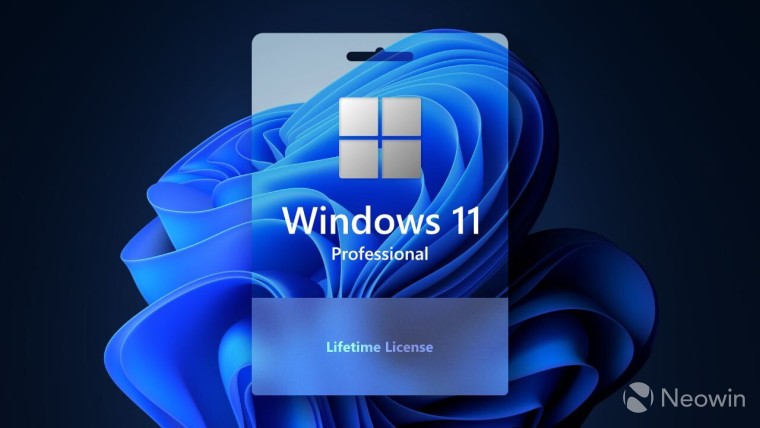 Windows 11 Pro (PC)