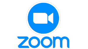 Zoom Pro 12 Mois